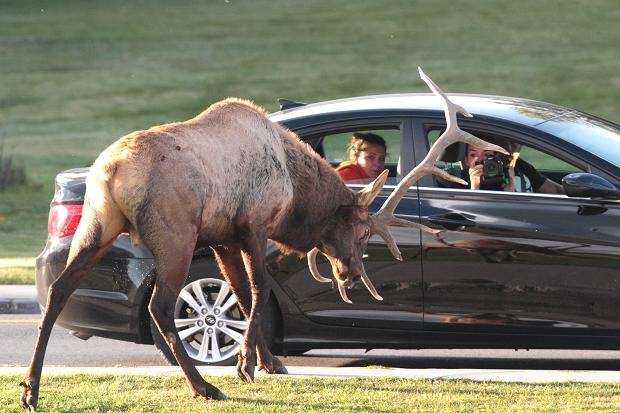 Attēlam ir ilustratīva nozīme

Autors:  www.thetimes.co.uk