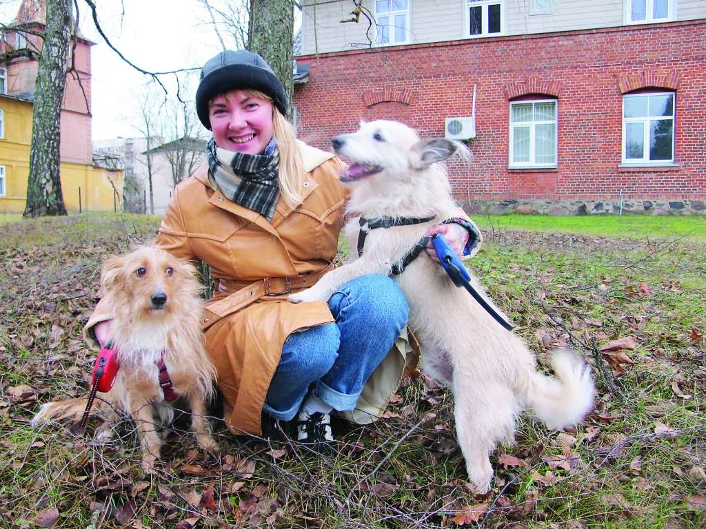 Pēc vairāku dienu neredzēšanās ar savu mīļo saimnieci Gintu Laviņu ir diezgan grūti Rastijam un Gizmo pozēt “Ziemeļlatvijas” fotokamerai. Sunīšiem nepārtraukti gribas mīļoties.                                                                                                                                                                                                      
Autors: INGA KARPOVA