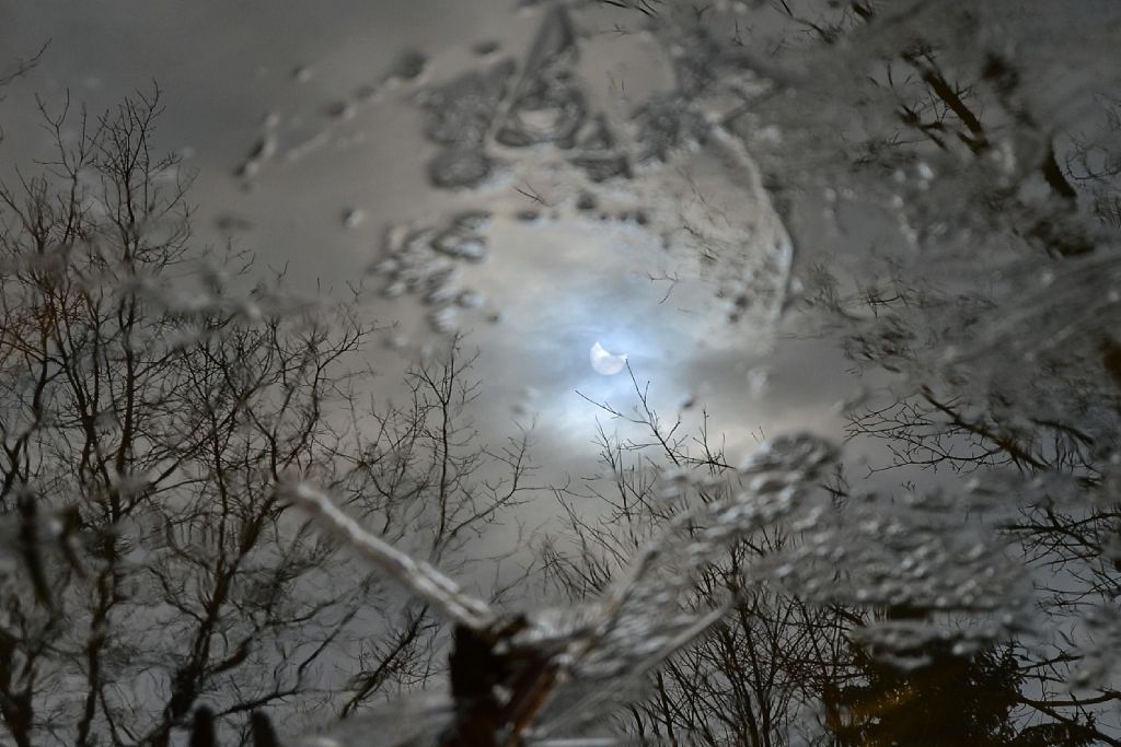 Autors: Elīna Kubuliņa - Vilne