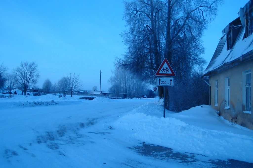 Autors: Sarmīte Ozola