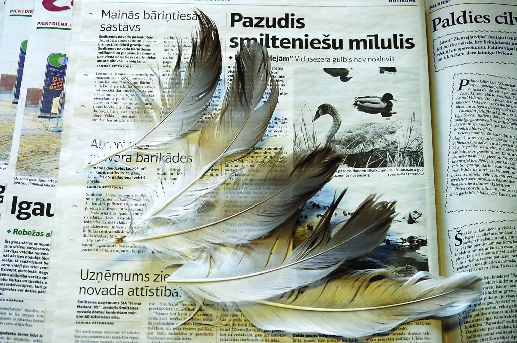 Šo fotogrāfiju ar kādas smiltenietes atrastajām spalvām nosūtījām ornitologam, gulbju pētniekam Dmitrijam Boiko. Atbilde nav iepriecinoša. 

Autors:  SANDRA PĒTERSONE