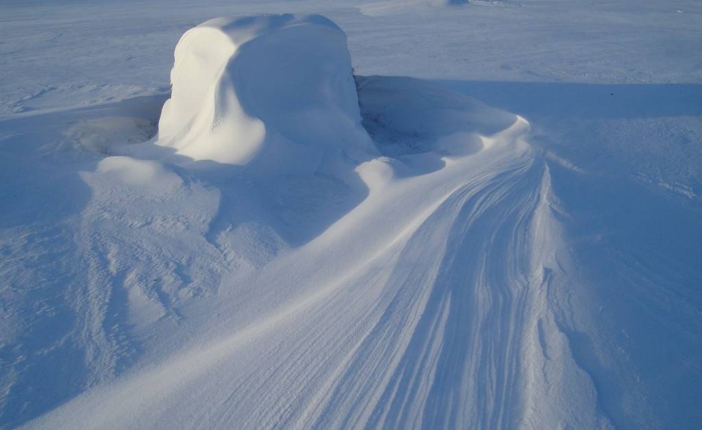 Autors: Sarmīte Ozola