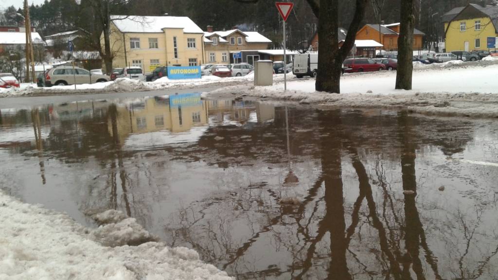 Autors: Sarmīte Ozola