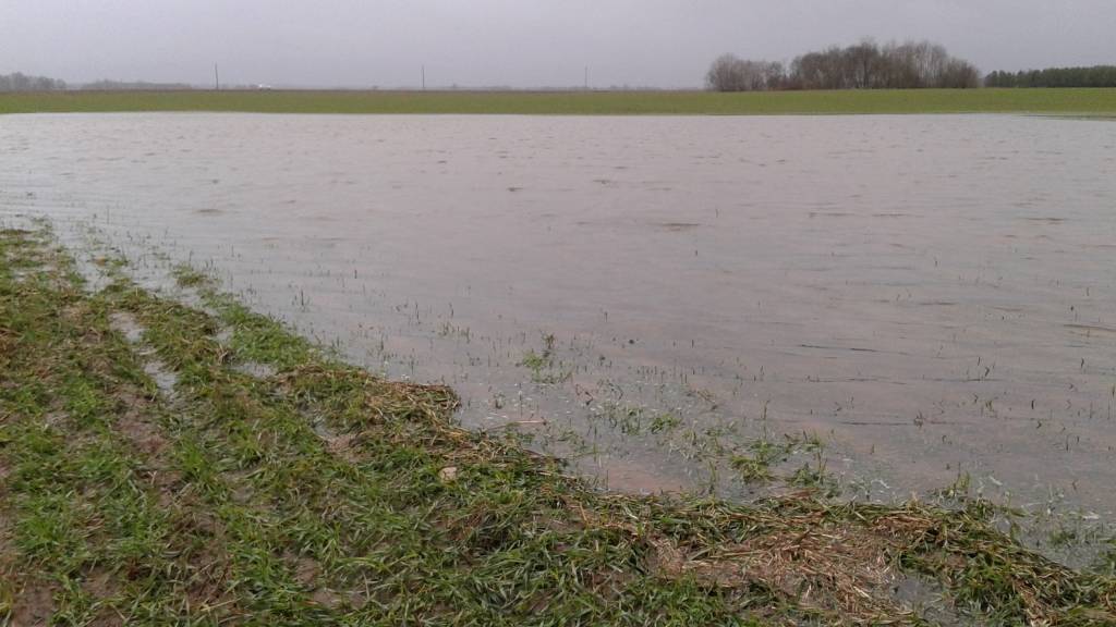 Autors: Sarmīte Ozola