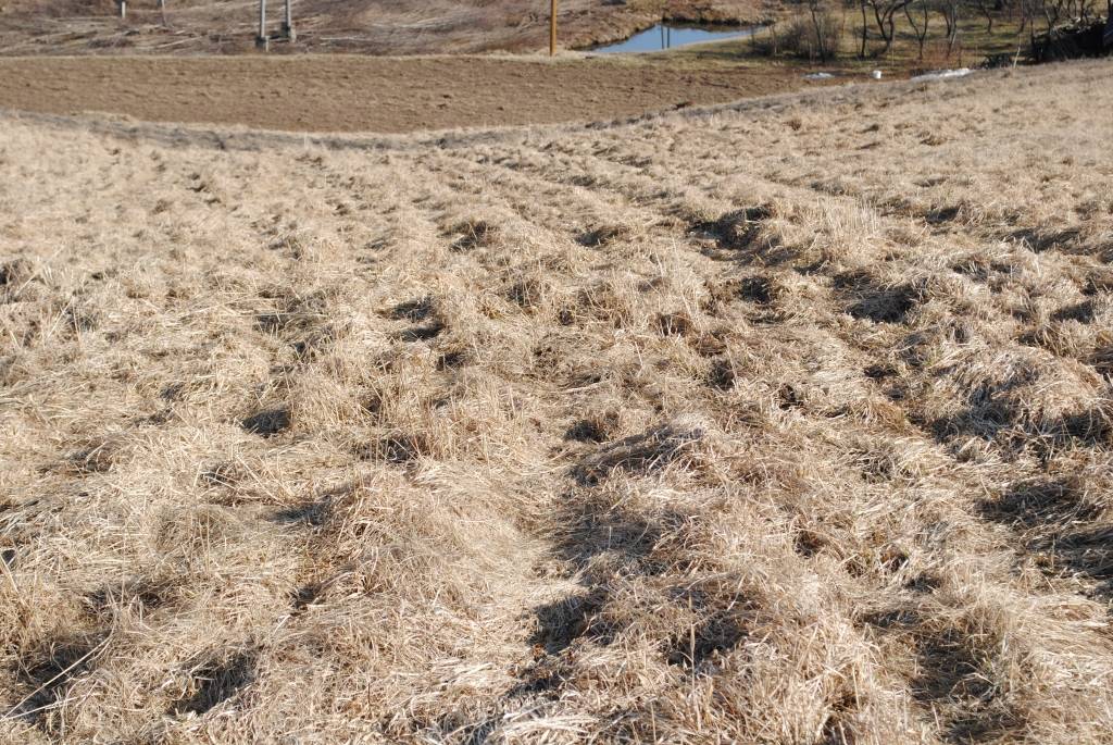 Autors: Sarmīte Ozola