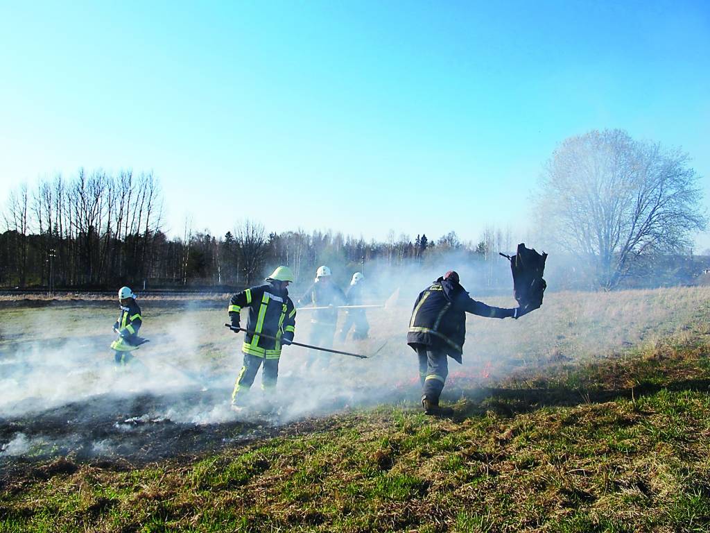 Otrdien pēc pulksten 17 “Ziemeļlatvija” bija aculieciniece kūlas ugunsgrēkam Valkas pagastā blakus “Nagliņu” mājām. Uguns plosījās netālu no dzelzceļa sliedēm un tā bija izpletusies septiņu hektāru platībā. Biezos dūmu mākoņus varēja samanīt jau tuvojoties Valkai pa autoceļiem. Ar ātri skrejošo uguni cīnījās pieci Valsts ugunsdzēsības un glābšanas dienesta Valkas daļas vīri. Lai uguns neizplatītos Igaunijas pusē, notikuma vietā atradās arī igauņu ugunsdzēsēji. Valcēnieši zināja stāstīt, ka cīņai ar kūlas ugunsgrēkiem igauņi izmanto ar ūdens cisternu aprīkotu kvadraciklu. Tas būtiski atvieglo kaimiņvalsts glābēju cīņu ar uguni, taču arī mūsu ugunsdzēsējiem veiksmīgi izdevās nodzēst kūlas ugunsgrēku. Vēl vakar no rīta dūmu smaka bija jūtama visā Valkā.                                                                                                                                                                                                                                                
Autors:  INGA KARPOVA