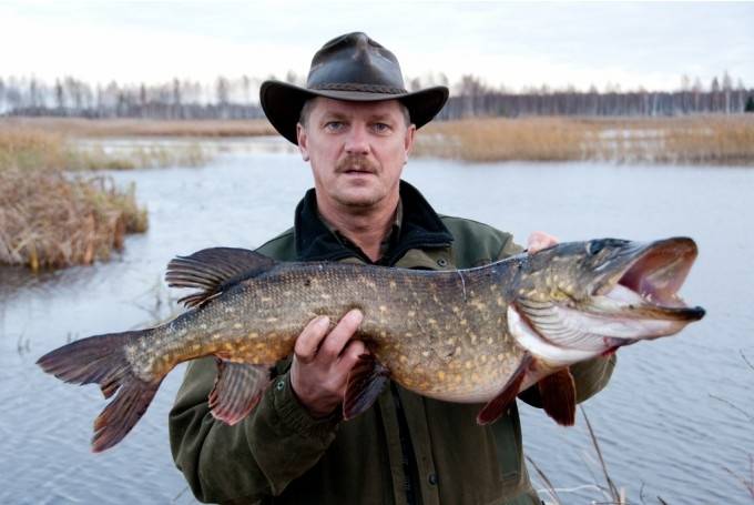 Autors: NO JĀŅA ENCES PERSONĪGĀ ARHĪVA