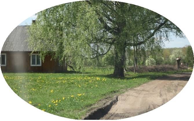 Autors: dzirkstele.lv