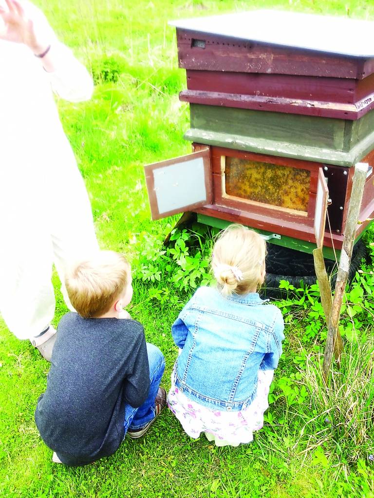 Bērniem īpaši interesanti aplūkot norises bišu stropa iekšienē, ko iespējams vērot pa tieši šim nolūkam ierīkotu stikla lodziņu.
