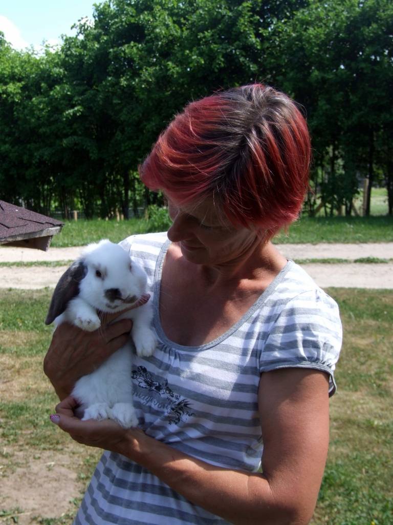 Viens no minizoodārza saimnieces Evitas Jākobsones mīluļiem ir gailis, kurš staigā pa pagalmu nebaidoties un izmanto jebkuru brīdi, lai kāds viņu paglaudītu.                                                                                             
Autors:  AGITA BULIŅA