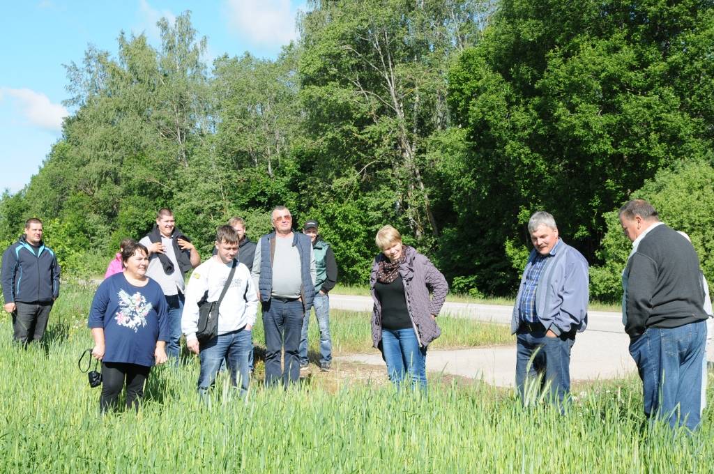 Zemnieki, vērtējot sējumus, uzskata, ka raža būs mazāka un graudi nogatavosies nevienādi.                                                                      
Autors:  AIVARS ZILBERS