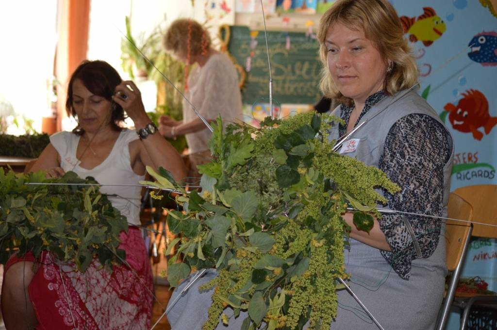 Aluksniesiem.lv raksta attēla aizvietotājs