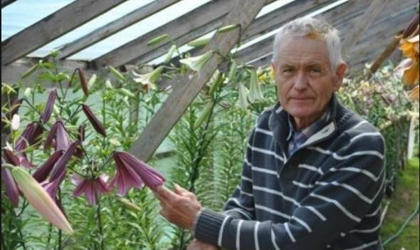 Izstādē ar savu kolekciju piedalīsies liliju selekcijas vecmeistars Andris Krūmiņš.
Autors: ziemellatvija.lv