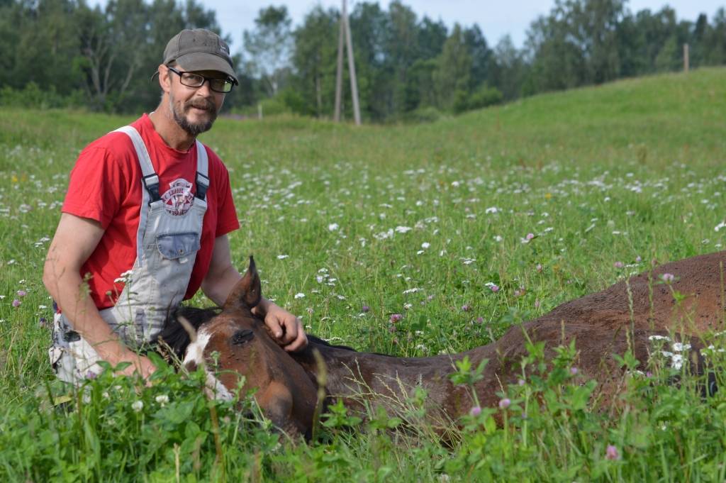 Kad nākamajā dienā izglābto zirgu kopā ar viņa saimnieku Agri Pērkonu devās apskatīt “Ziemeļlatvija”, dzīvnieks bija tik noguris pēc pārciestā, ka bez palīdzības nespēja piecelties kājās. 
Autors: SANDRA PĒTERSONE