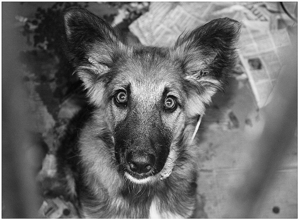 Autors: Zanda Bērziņa Radziņa