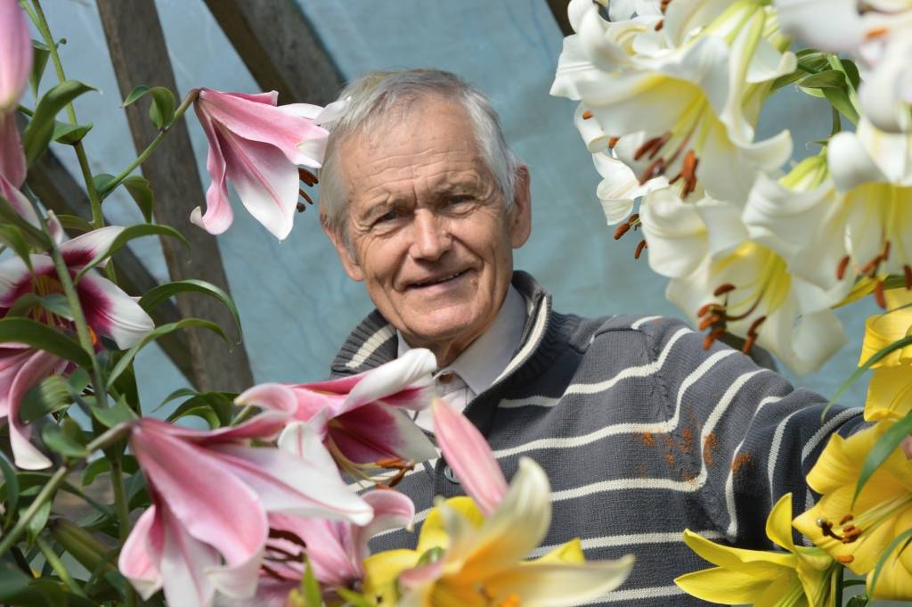 Liliju selekcijas vecmeistars, Blomes pagasta “Sirmiņu” mājas saimnieks Andris Krūmiņš šajā laikā  lauku sētā uzņem ikvienu interesentu, jo viņam ir, ko rādīt un ar ko lepoties. Piemājas saimniecībā aug vairāki simti liliju šķirņu.      
Autors: SANTA SINKA