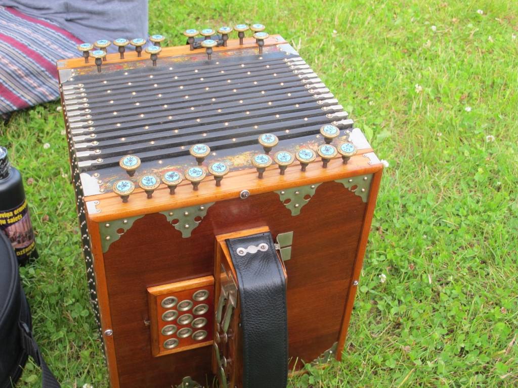 Ieviņas ir tieši Vidzemei raksturīgs ermoņiku veids, kas vēl pirms 60-70 gadiem visā reģionā bija neiztrūkstošs viesību un danču mūzikas instruments.   
Autors: LĪGA MARTINSONE