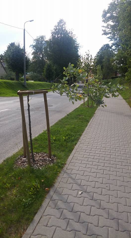 Autors: Normunds Rjabinovs/facebook