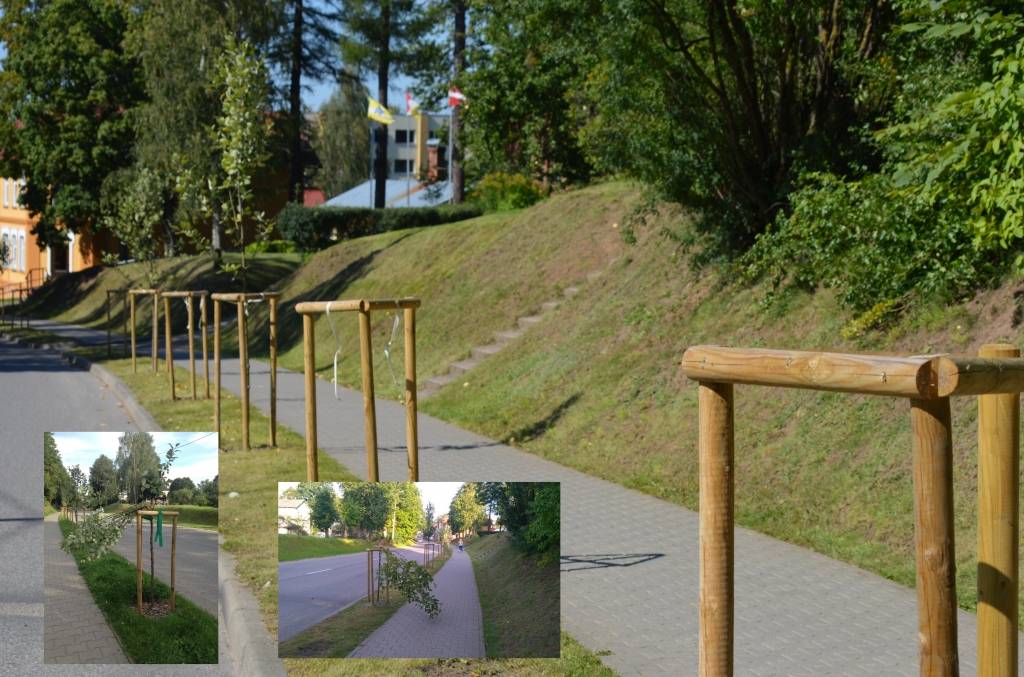 Vēl mēneša sākumā Dārza ielas malā glīti rindojās Zviedrijas kļavas, taču atradās garāmgājēji, kuri tās nopostīja. Jācer, ka jaunajiem apstādījumiem šāds liktenis ies secen.                                                                       
Autors:  SARMĪTE OZOLA