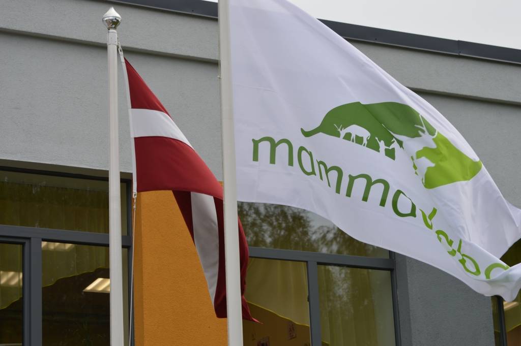 Mammadaba karogs pie Grundzāles pamatskolas mastā plīvos visu šo mācību gadu.