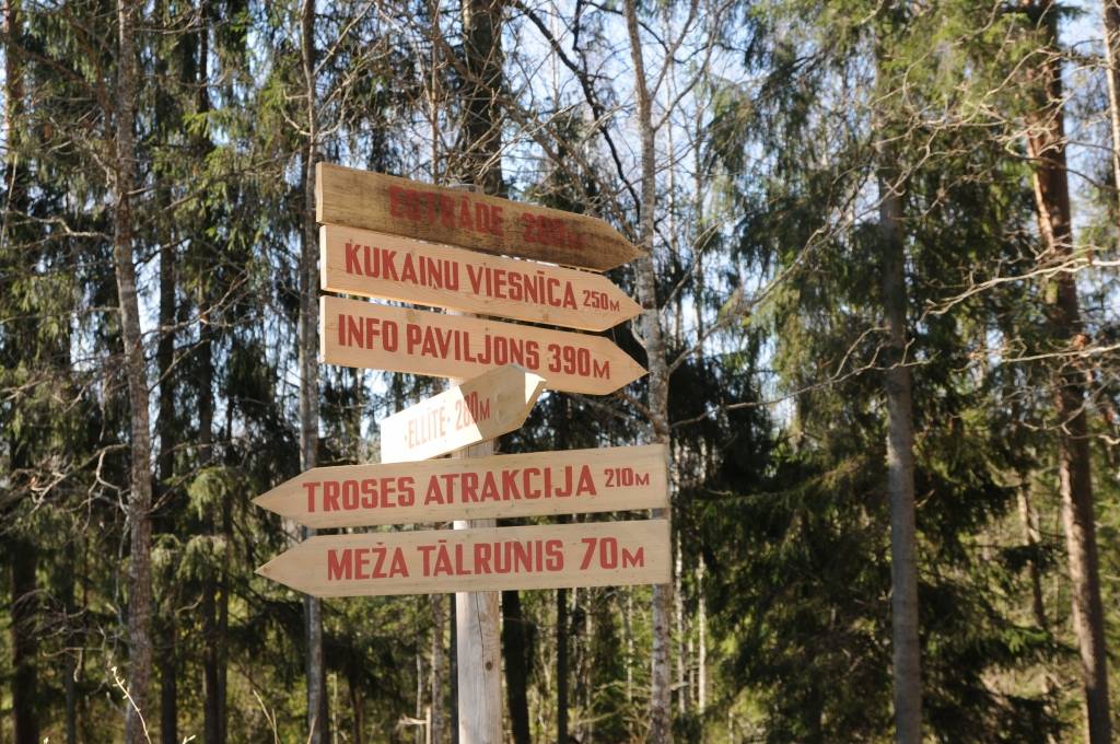 Viens no interesnatākajiem apskatēs objektiem Kārķos ir Lustiņdruva. Neko no apskates vērtā nepalaist garām palīdz  norādes.     
Autors:  INGA KARPOVA
