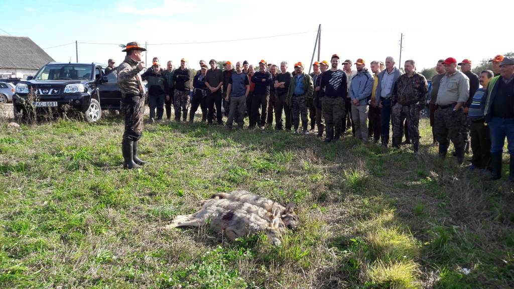 Šāda mēroga vilku medībās katram jābūt savā vietā – Edmunds Juškevičs kolēģiem dod norādījumus pirms došanās uz otro mastu.
Autors:  LĪGA MARTINSONE