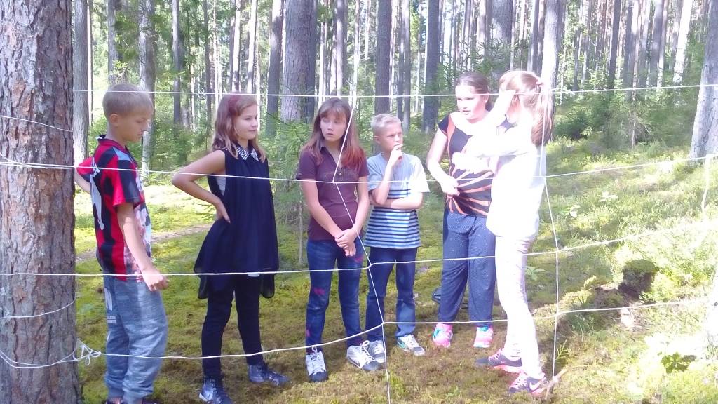 Valkas Jāņa Cimzes ģimnāzijas skolēni, pateicoties vecāku aktivitātēm, iesaistījusies izzinošā dabas projektā “Dzeņa raibumi”.                                                                                                                                                          
Autors:  NO PERSONĪGĀ ARHĪVA