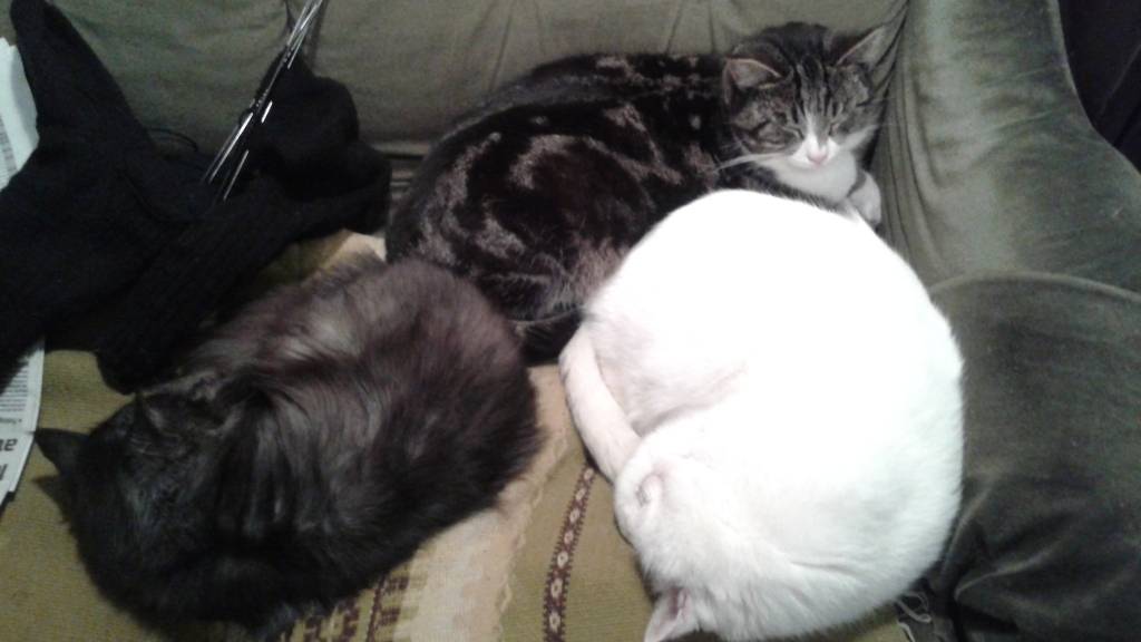 Aluksniesiem.lv raksta attēla aizvietotājs