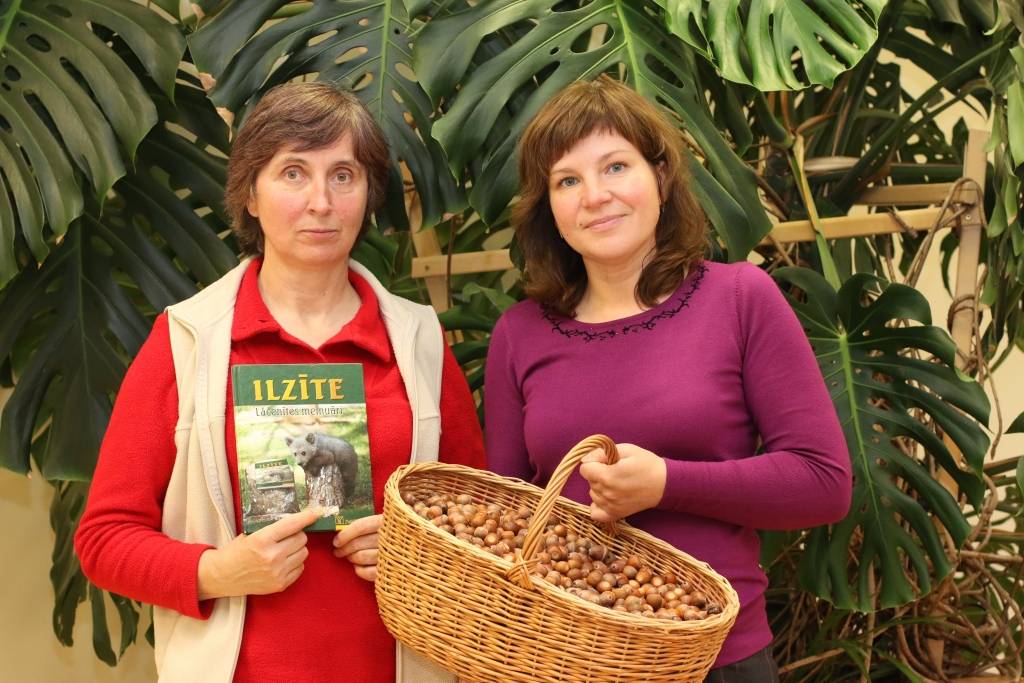 Smiltenes bērnudārzā “Pīlādzītis” šonedēļ ciemojās īpašs viesis – tautā mīļi sauktā lāču mamma, Līgatnes dabas takas zvērkope Velga Vītola (no kreisās). Attēlā kopā ar bērnudārza metodiķi Ilvu Stīpnieci.            
Autors:  SANTA SINKA