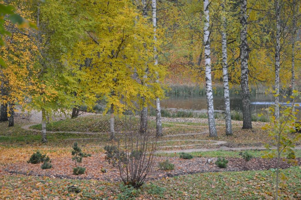 Pie dīķa ar strūklaku netālu no viesnīcas “Brūzis” izveidots japāņu dārzs. Šās nedēļas sākumā tur uzstādīs lapeni un pergolu.