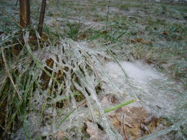 FOTO: Sarmīte Ozola
19. dec 2008. gads Blomes pagastā