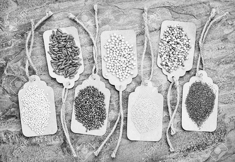 Graudaugi, kas nesatur glutēnu: kvinoja, sorgo, brūnie rīsi, tefs, griķi, amarants un prosa.
Autors:  no 123.rf.com