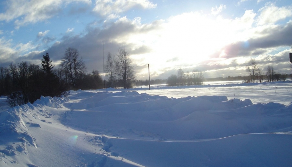 Autors: Sarmīte Ozola