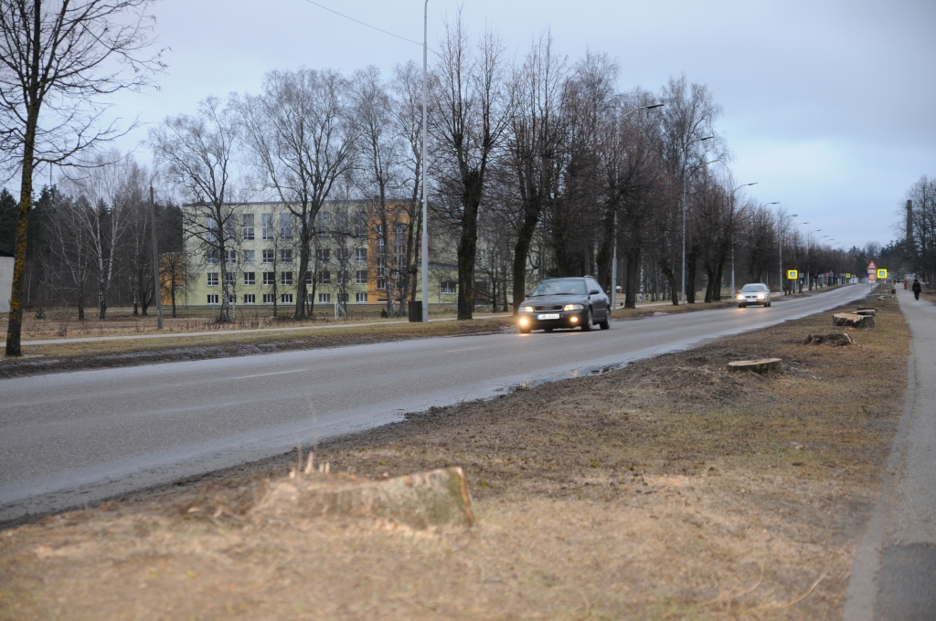 Pēc ošlapu kļavu nociršanas Ausekļa ielas labajā pusē viena valcēniešu daļa uzskata, ka tā nav bijusi pareiza rīcība, savukārt otri atbalsta pašvaldības centienus.                                                                                        
Autors:  INGA KARPOVA