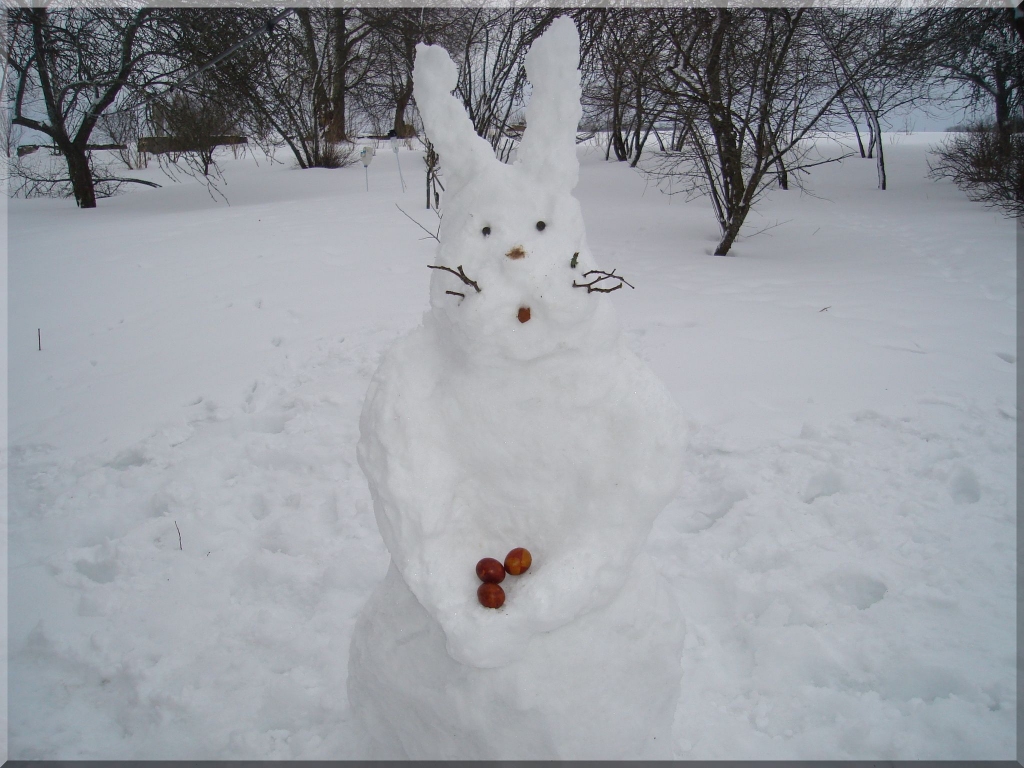 Autors: Sarmīte Ozola