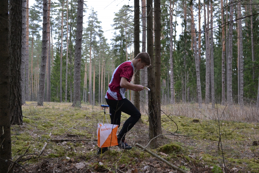 Aluksniesiem.lv raksta attēla aizvietotājs