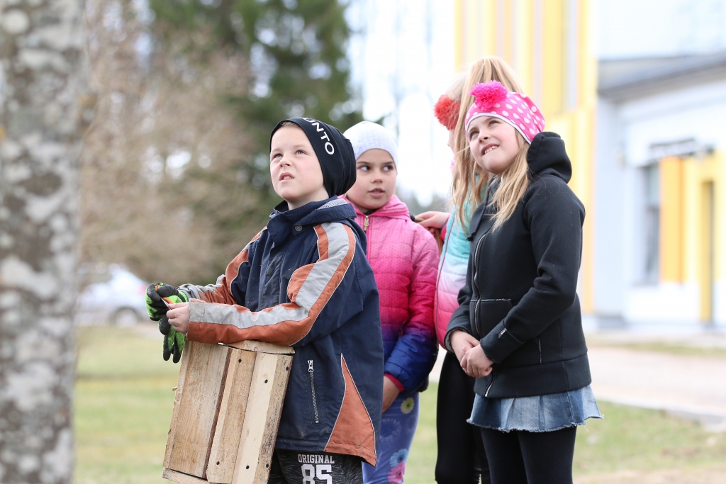 Aluksniesiem.lv raksta attēla aizvietotājs