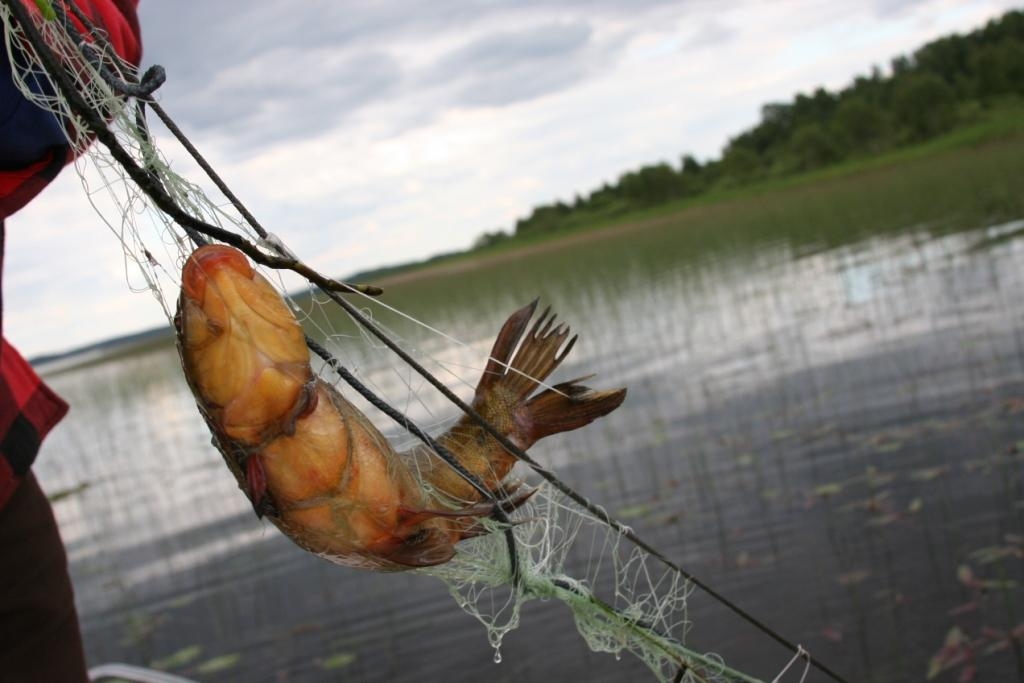 Autors: Burtnieku novada pašvaldība