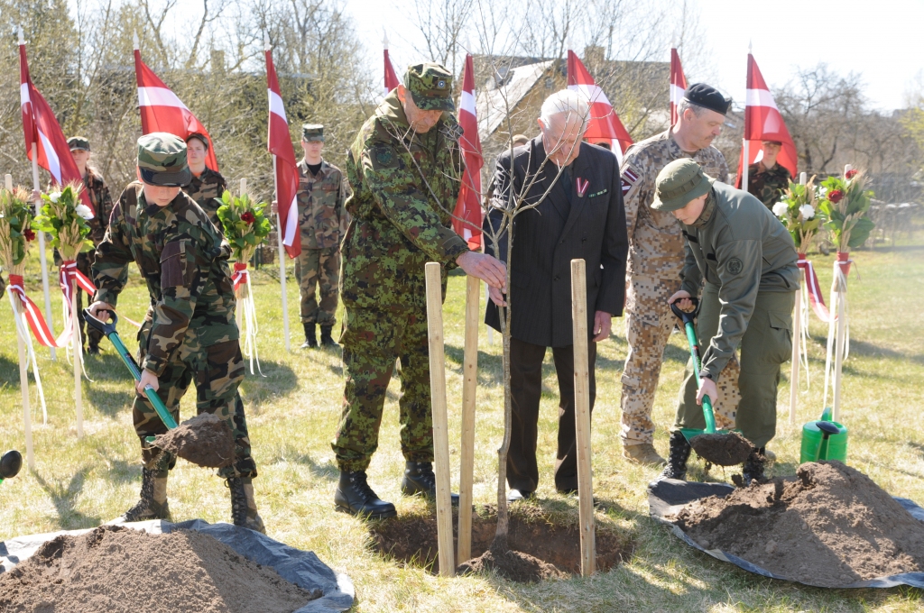 Aluksniesiem.lv raksta attēla aizvietotājs