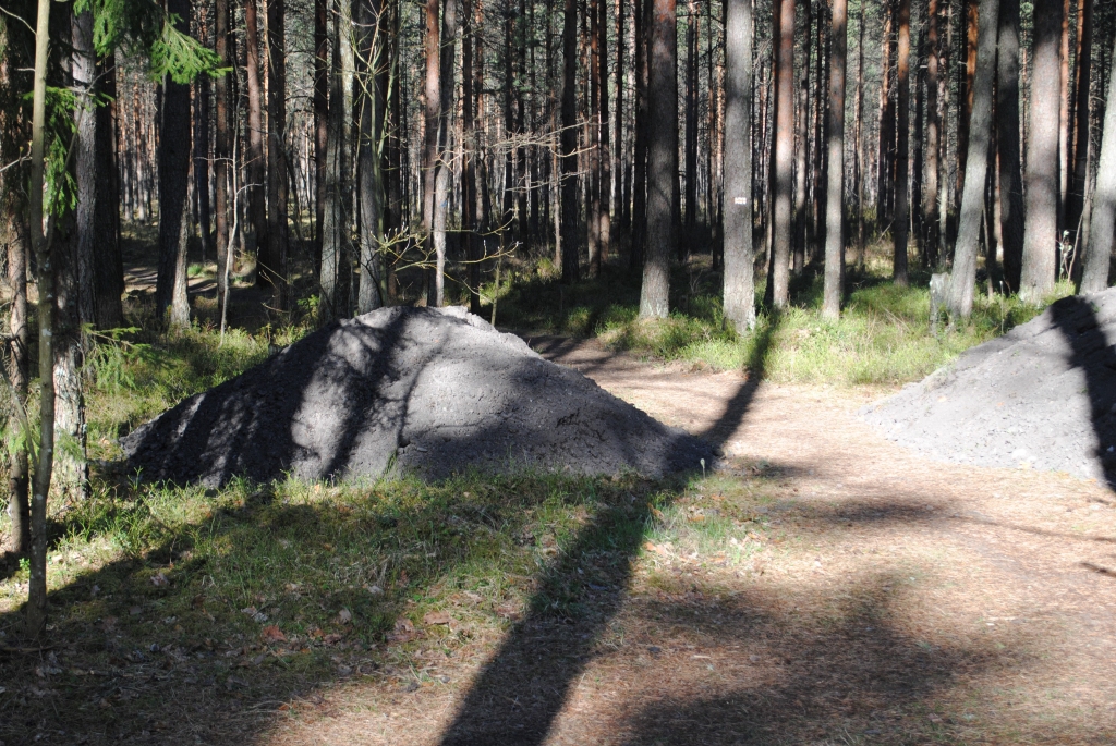 Autors: Sarmīte Ozola