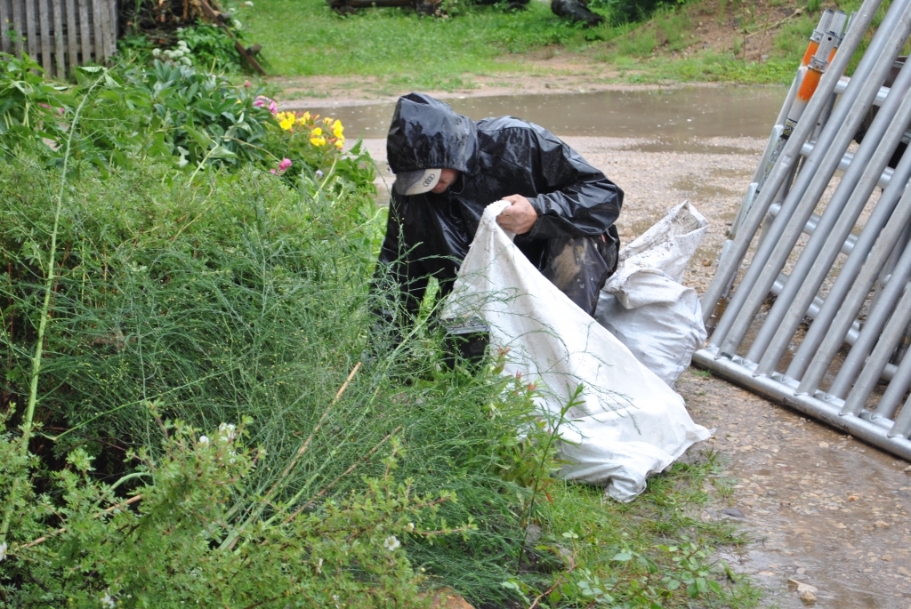 Autors: Sarmīte Ozola