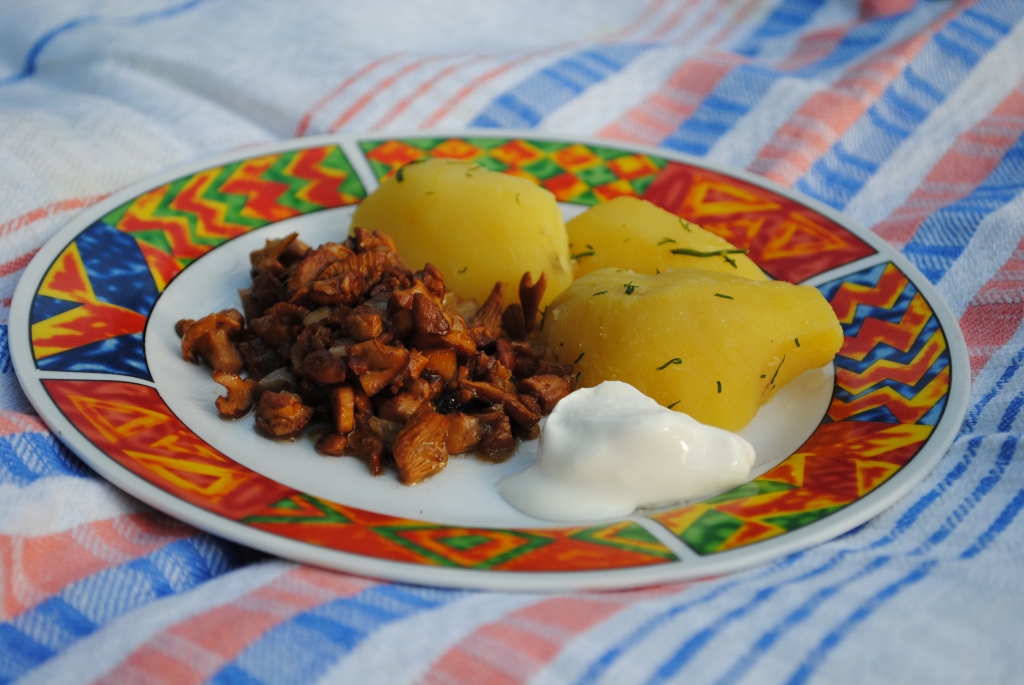 Autors: SARMĪTE OZOLA