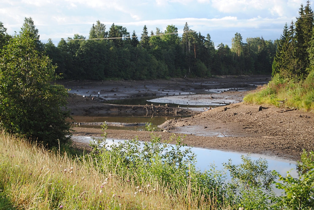 Autors: Sarmīte Ozola