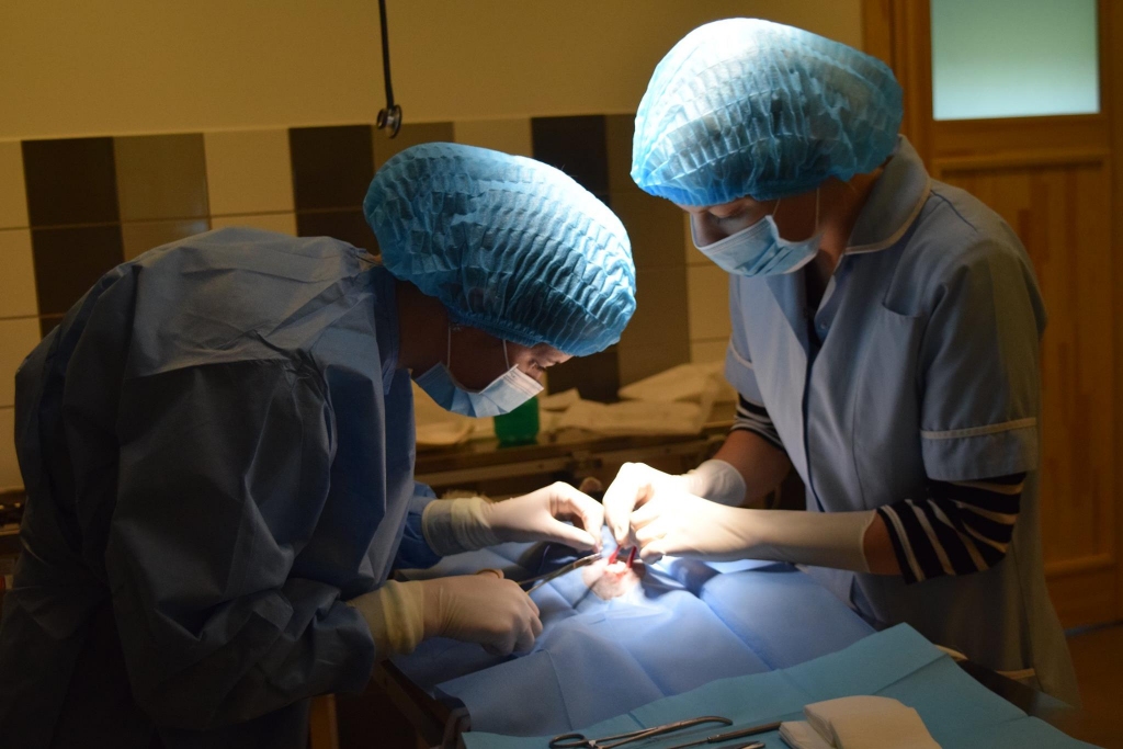  Smiltenes tehnikuma veterinārās klīnikas vadītāja Liāna Pelše un veterinārās nodaļas laborante Evija Bērziņa sterilizē kaķeni. 
Autors: Baiba Vahere