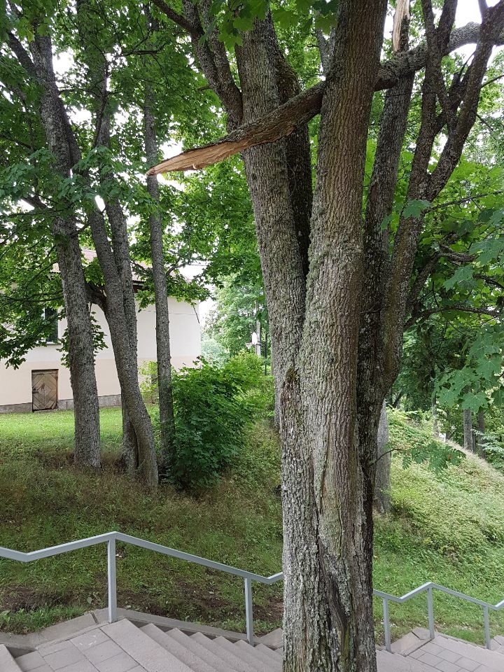 Dodoties gar Vidusezeru uz Smiltenes pagasta Kalnamuižu, kāpjot pa kāpnēm ir jābūt uzmanīgiem, lai virsū neuzkristu nolūzis zars. 
Autors:  SANTA SINKA