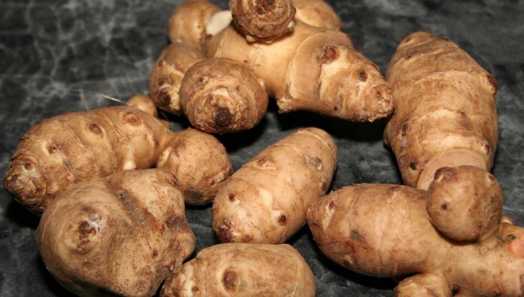 Topinambūrs