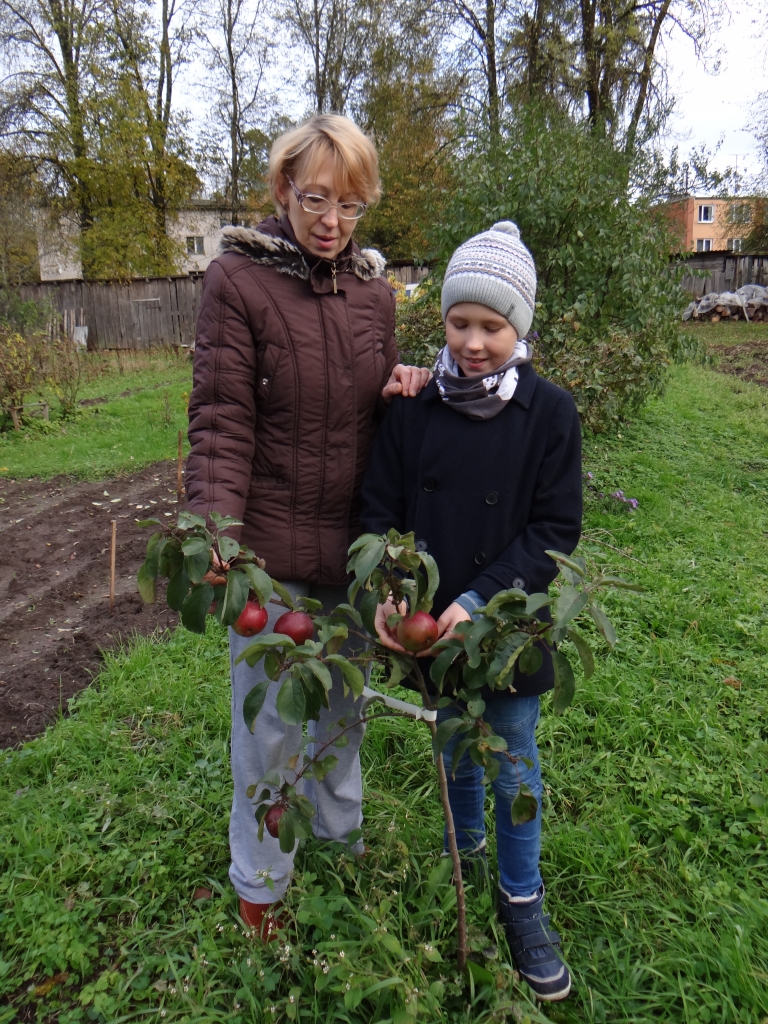 Kārķēniete Evija Vīksna (attēlā ar dēlu Raineru) nemaz negaidīja, ka šopavasar uzdāvinātā ziemas ābele jau šogad sāks ražot un uzdāvinās piecus skaistus ābolus. “Saliku pagrabā, ziemā nogaršosim,” teic Evija un priecājas par iesaistīšanos dārza darbu projektā, jo dārza un zemes darbi viņai patīk un dod spēku.                                                                             
Autors:  SANDRA PILSKALNE