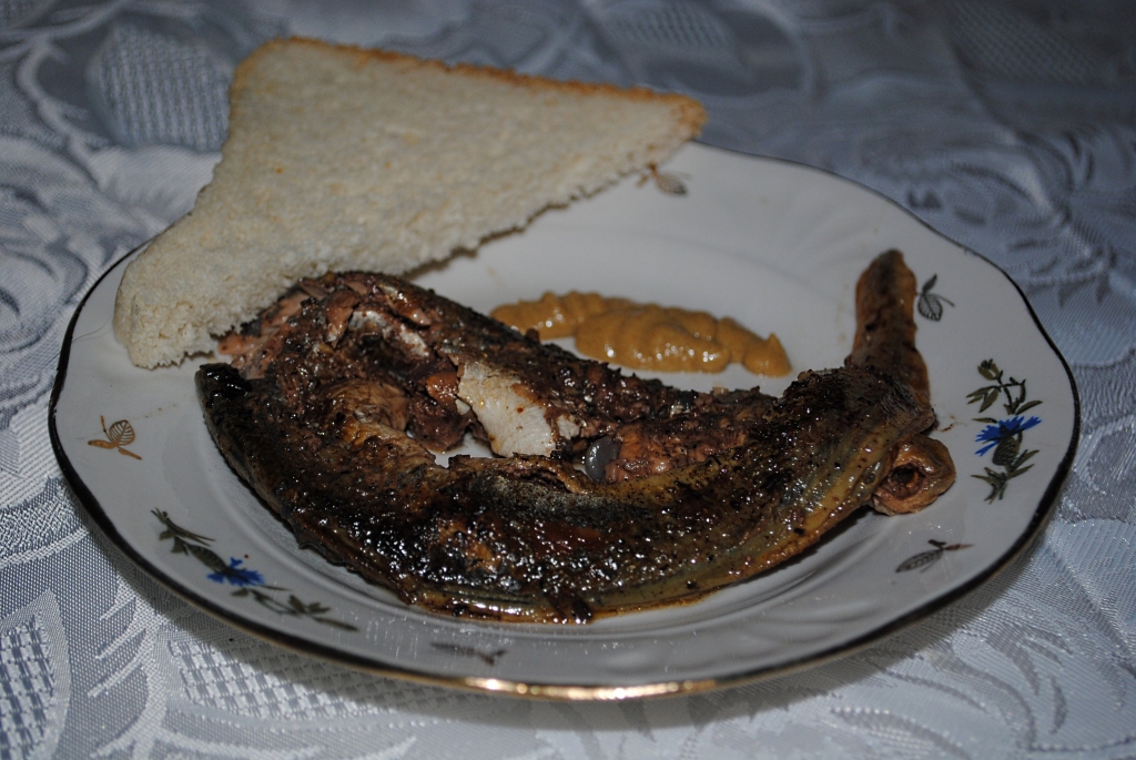 Autors:  SARMĪTE OZOLA