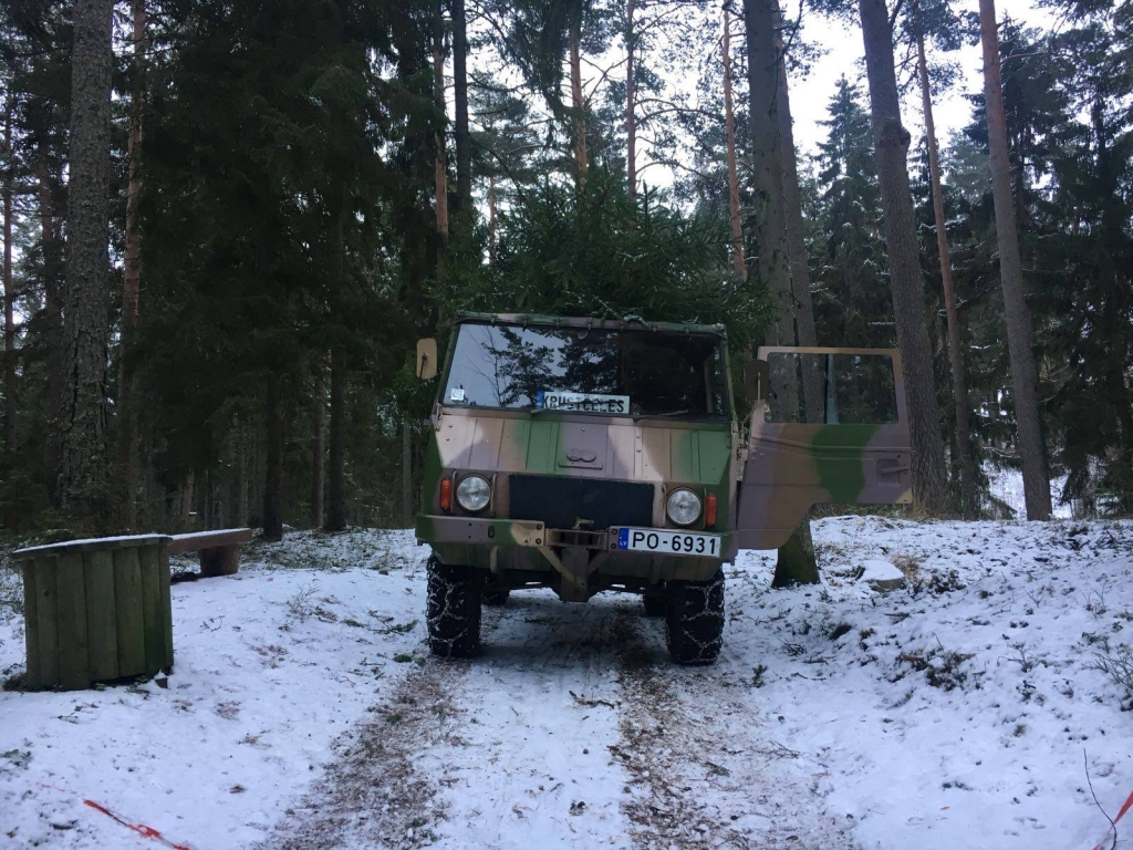 Aluksniesiem.lv raksta attēla aizvietotājs