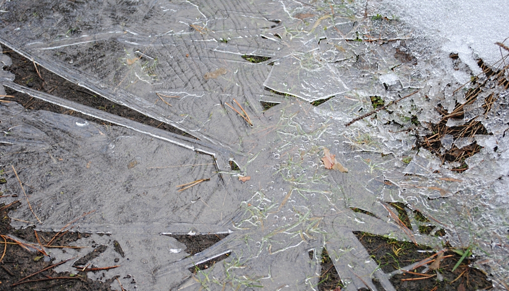 Autors: Sarmīte Ozola